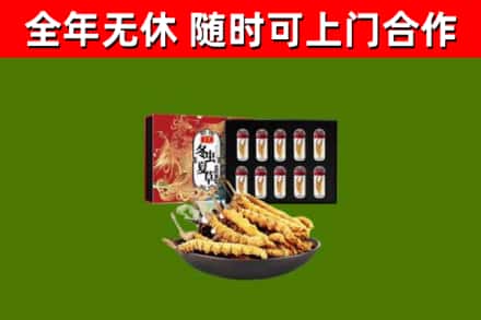 港口镇烟酒回收冬虫夏草礼盒.jpg